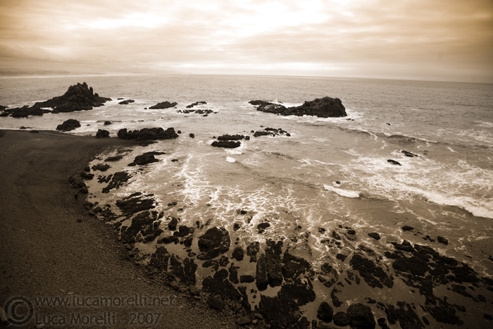 © Copyright - Luca Morelli
