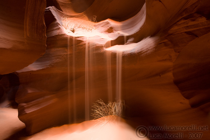 © Copyright - Luca Morelli