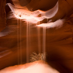 © Copyright - Luca Morelli